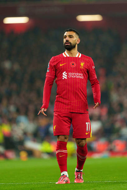 适时分享比 适时分享比